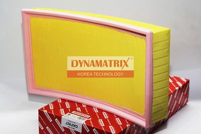 DAF927 DYNAMATRIX Воздушный фильтр