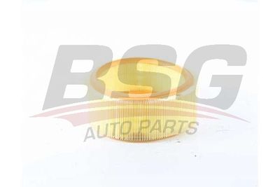 BSG75135006 BSG Воздушный фильтр