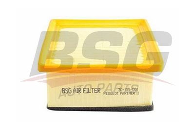BSG70135001 BSG Воздушный фильтр