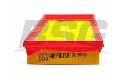 BSG30135024 BSG Воздушный фильтр
