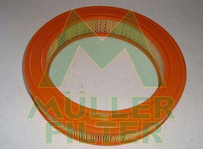 PA248 MULLER FILTER Воздушный фильтр