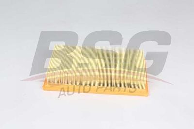 BSG30135029 BSG Воздушный фильтр