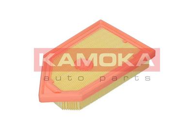 F254301 KAMOKA Воздушный фильтр