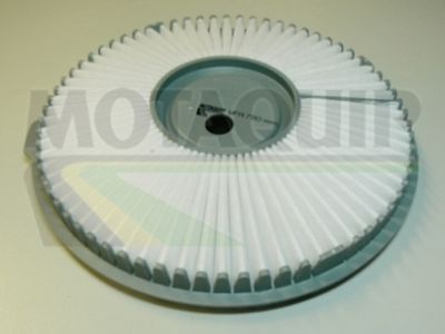 VFA780 MOTAQUIP Воздушный фильтр