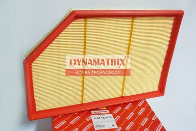 DAF15919 DYNAMATRIX Воздушный фильтр