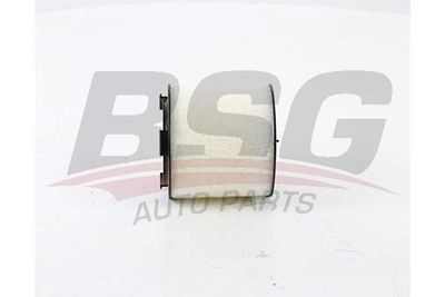 BSG90135021 BSG Воздушный фильтр
