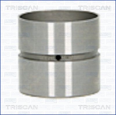 8025007 TRISCAN Толкатель