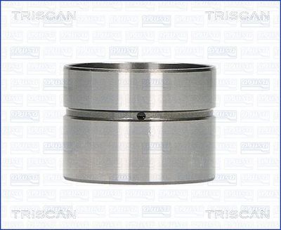 8011002 TRISCAN Толкатель