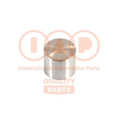 12513096 IAP QUALITY PARTS Толкатель