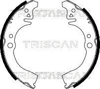 810041612 TRISCAN Комплект тормозных колодок