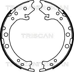 810040008 TRISCAN Комплект тормозных колодок