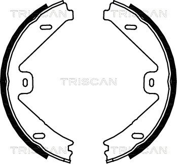 810023033 TRISCAN Комплект тормозных колодок
