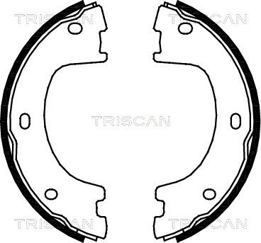810023032 TRISCAN Комплект тормозных колодок