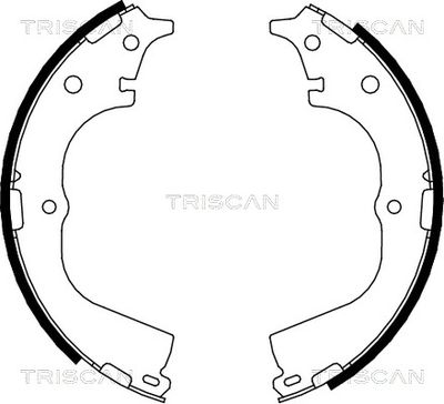 810013557 TRISCAN Комплект тормозных колодок