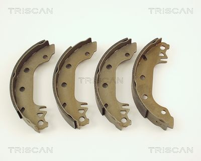 810016291 TRISCAN Комплект тормозных колодок