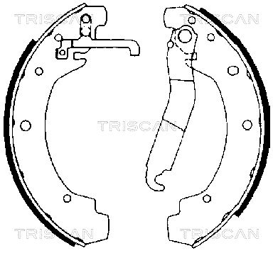 810029368 TRISCAN Комплект тормозных колодок