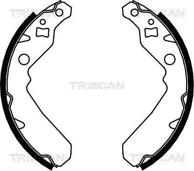 810041615 TRISCAN Комплект тормозных колодок