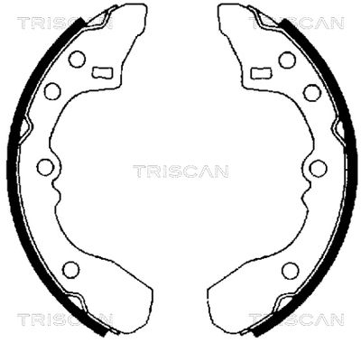 810050434 TRISCAN Комплект тормозных колодок