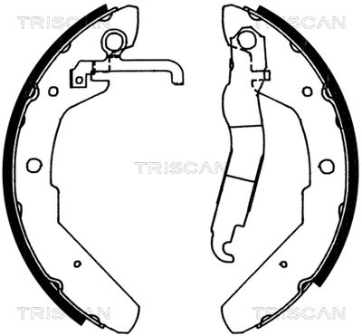 810029370 TRISCAN Комплект тормозных колодок