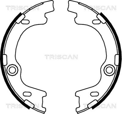 810043021 TRISCAN Комплект тормозных колодок
