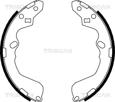 810050002 TRISCAN Комплект тормозных колодок