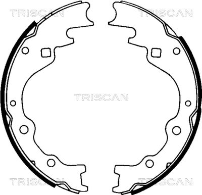 810050461 TRISCAN Комплект тормозных колодок