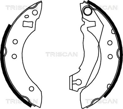 810016355 TRISCAN Комплект тормозных колодок