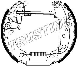 6239 TRUSTING Комплект тормозных колодок