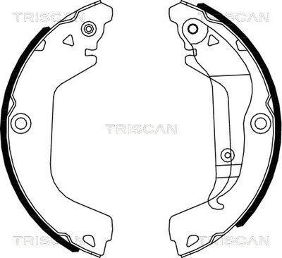 810021002 TRISCAN Комплект тормозных колодок