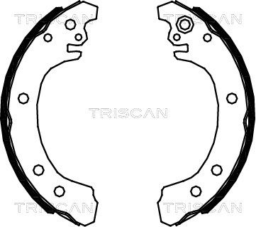 810013049 TRISCAN Комплект тормозных колодок