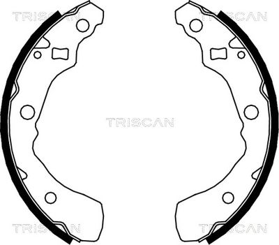 810041618 TRISCAN Комплект тормозных колодок