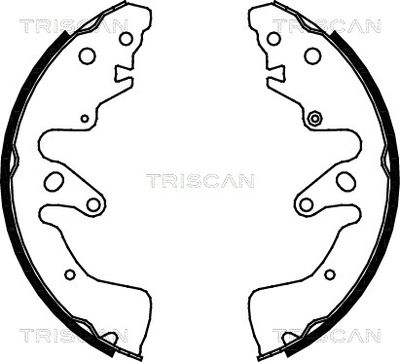 810069004 TRISCAN Комплект тормозных колодок