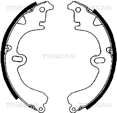 810013423 TRISCAN Комплект тормозных колодок