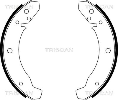 810029105 TRISCAN Комплект тормозных колодок