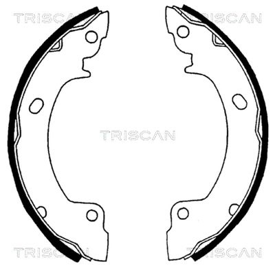 810043529 TRISCAN Комплект тормозных колодок