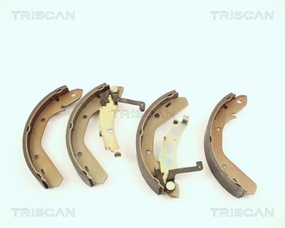 810029292 TRISCAN Комплект тормозных колодок