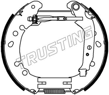 6489 TRUSTING Комплект тормозных колодок