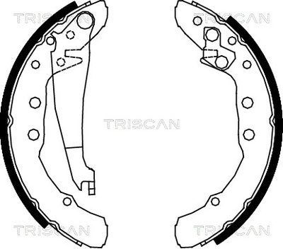 810029530 TRISCAN Комплект тормозных колодок