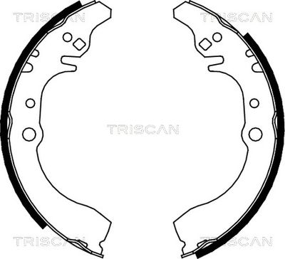 810041617 TRISCAN Комплект тормозных колодок
