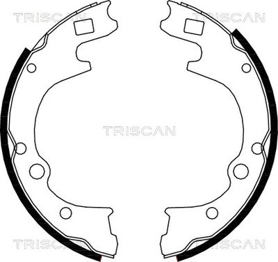 810050604 TRISCAN Комплект тормозных колодок