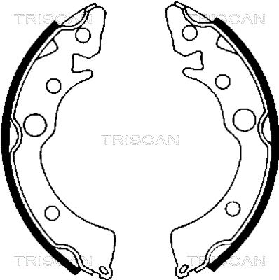 810040418 TRISCAN Комплект тормозных колодок