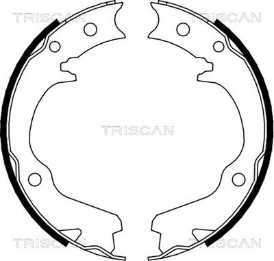 810068001 TRISCAN Комплект тормозных колодок