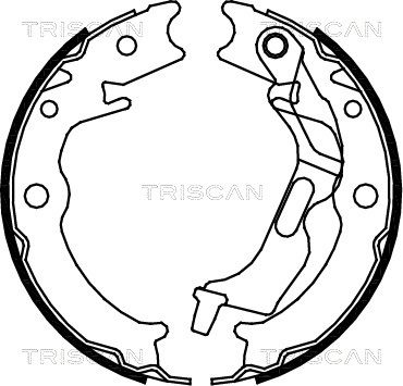 810021001 TRISCAN Комплект тормозных колодок