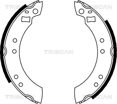 810010280 TRISCAN Комплект тормозных колодок