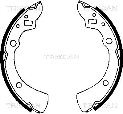 810050359 TRISCAN Комплект тормозных колодок