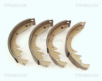 810027242 TRISCAN Комплект тормозных колодок