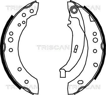 810025005 TRISCAN Комплект тормозных колодок