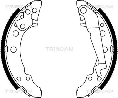 810029001 TRISCAN Комплект тормозных колодок