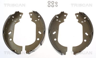 810010588 TRISCAN Комплект тормозных колодок