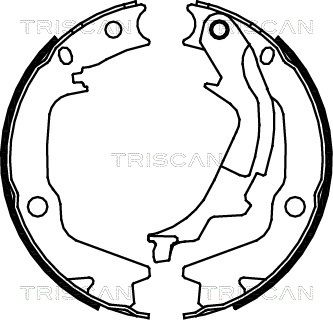 810043022 TRISCAN Комплект тормозных колодок